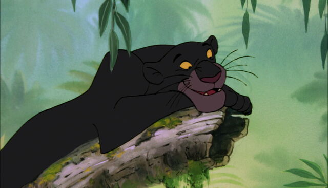 Archivo:Bagheraa 2.jpg