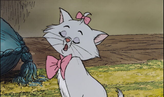Archivo:Gatos 14.jpg