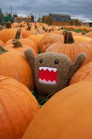 File:Domo plumpkin.jpg