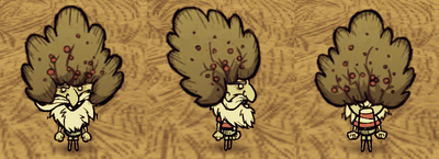 Bush Hat Woodlegs