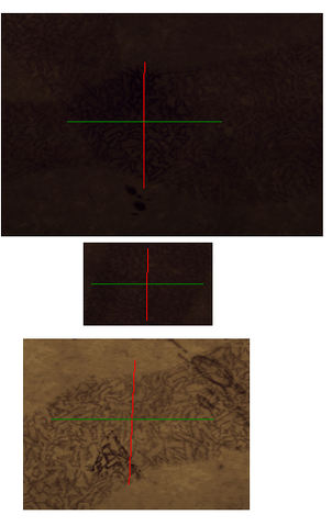 File:RoadMarkers.png