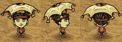 Eyebrella Walani