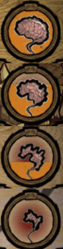 Brain.png