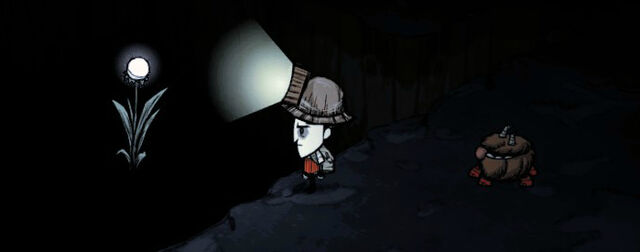 File:Bugged light flower.jpg
