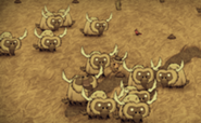 Ficheiro:185px-A herd of Beefalos.png