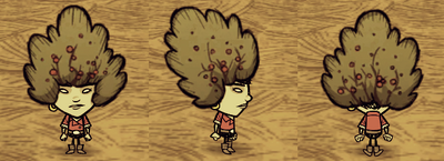 Bush Hat Walani