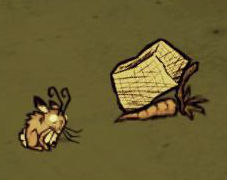 dont starve wiki carrot