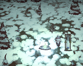 Winter-1-