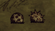 Bee Mines.png