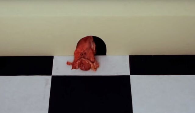 File:Ratty eats entrails.jpg