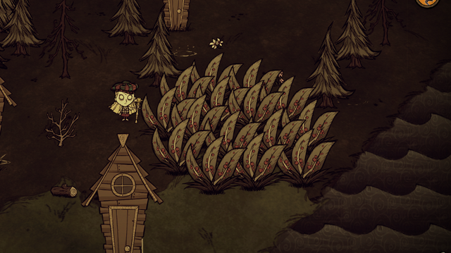 Plik:Plantacja.png
