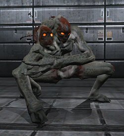 File:Maggot..jpg