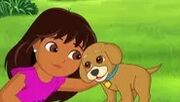 DORA-EN-RESCATE-DEL-PERRITO-DE-LA-PRINCESA.jpg