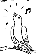 小皮.png