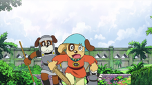 Chipo chased 2014.png