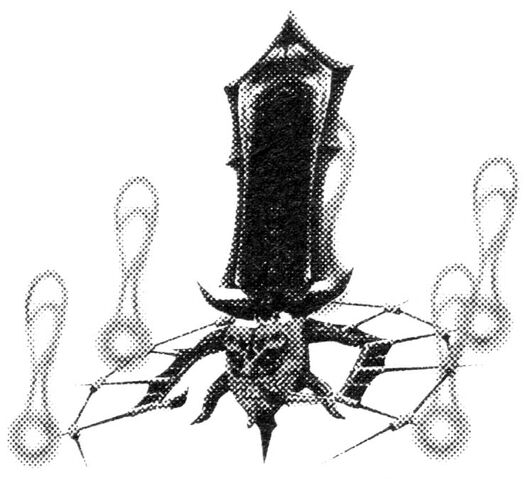 File:Riubezel.jpg
