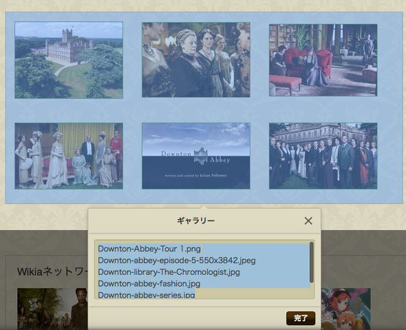 ファイル:Gallery ve list.png