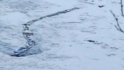 Lagarwurm.png