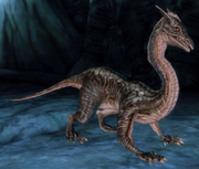 DragonlingDA.png