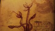 Schnappende Falle Buch der Drachen.jpg