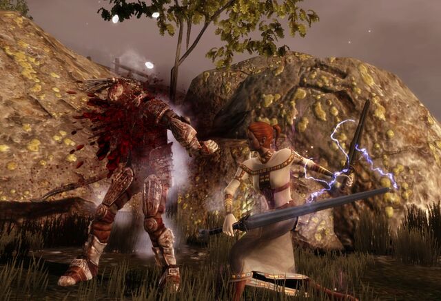 File:Dual Wielding in Combat.jpg