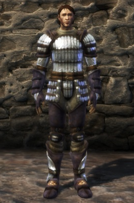 dragon scale armor dragon age origins dragon scale armor dragon age origins