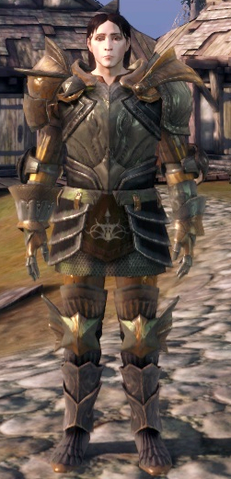 File:ChevalierArmorSetTier4.png
