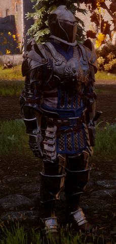 File:Warden Warrior Inquisition.png