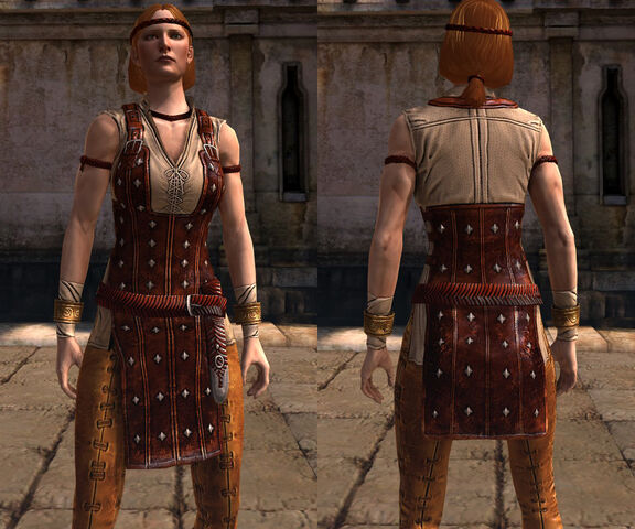 File:DA2 Modified Officers' Issue (Aveline Vallen - Companion armor) - Front.jpg