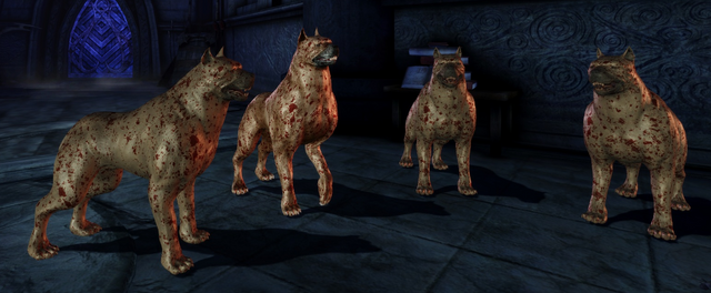 File:Mabari Pow-wow.png