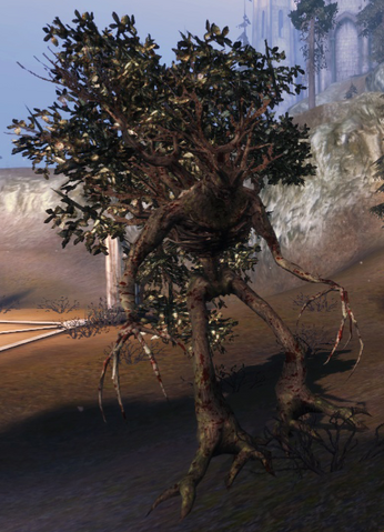 File:Ancient sylvan.png