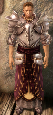 File:Knight Commander's Plate.png