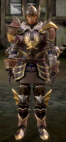 File:WardenCommanderArmorSet.png