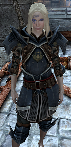 File:Orlesian Lancer Armor.png