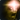 Spell-Horror icon