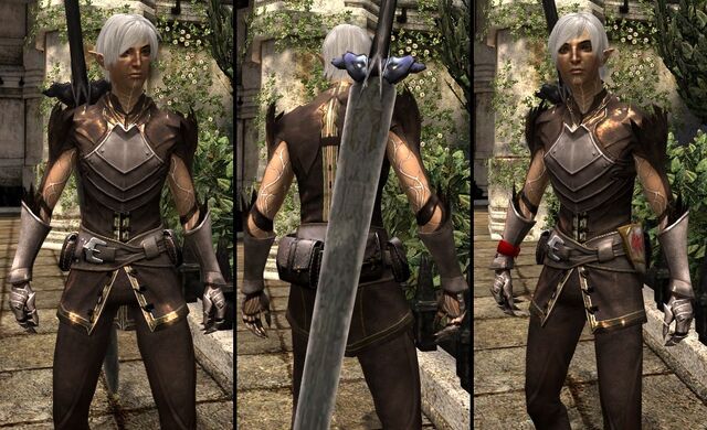 File:DA2 Grafted Spirit Hide - Fenris companion armor.jpg