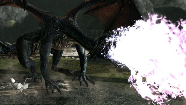 File:MatureDragon2.jpg