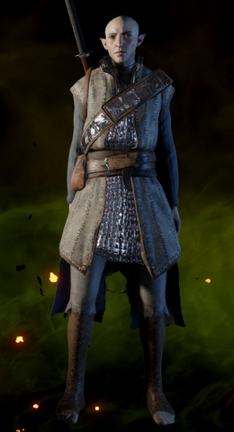 File:ReinforcedEnchanterArmorSolas.png