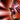 Talent-WarCry icon
