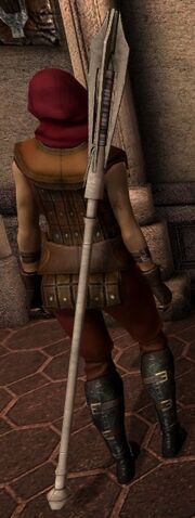 File:DA2 Mercenary's Staff.jpg