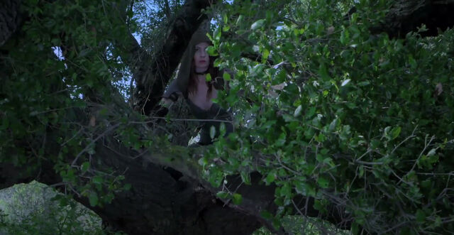 File:Tree tallis.jpg
