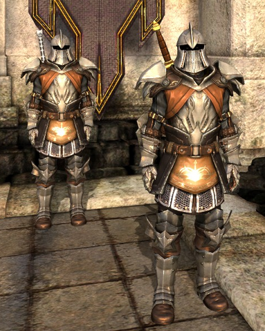 File:KirkwallCityGuardGuardsman.png