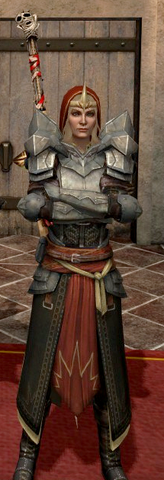 File:MeredithArmor.png