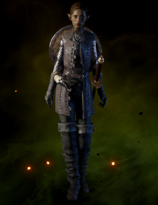 File:Crafted Sturdy Defender Coat.png