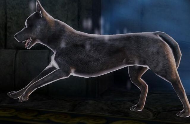 File:MorriganWolf.jpg