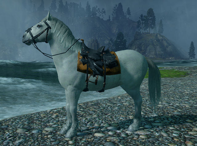 File:Imperial Warmblood.png