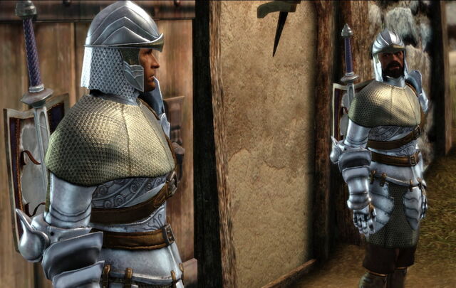 File:NPC-Guards.jpg