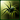 Spell-SpiderShape icon