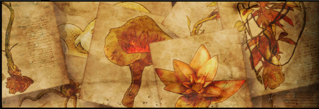 File:Herb Quest Banner.png