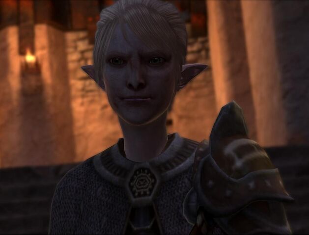 File:Elven fanatic.jpg